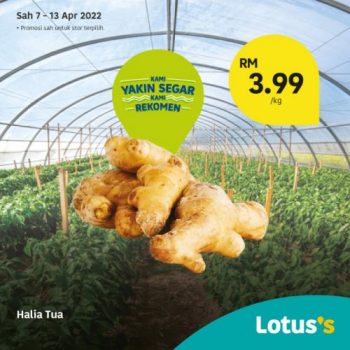 Tesco-Lotuss-Berjimat-Dengan-Kami-Promotion-17-2-350x350 - Johor Kedah Kelantan Kuala Lumpur Melaka Negeri Sembilan Pahang Penang Perak Perlis Promotions & Freebies Putrajaya Sabah Sarawak Selangor Supermarket & Hypermarket Terengganu