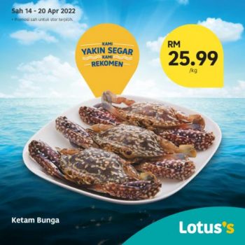 Tesco-Lotuss-Berjimat-Dengan-Kami-Promotion-17-6-350x350 - Johor Kedah Kelantan Kuala Lumpur Melaka Negeri Sembilan Pahang Penang Perak Perlis Promotions & Freebies Putrajaya Sabah Sarawak Selangor Supermarket & Hypermarket Terengganu 