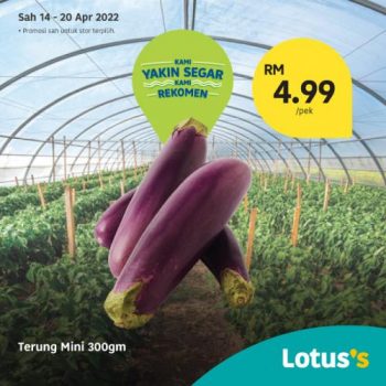 Tesco-Lotuss-Berjimat-Dengan-Kami-Promotion-18-6-350x350 - Johor Kedah Kelantan Kuala Lumpur Melaka Negeri Sembilan Pahang Penang Perak Perlis Promotions & Freebies Putrajaya Sabah Sarawak Selangor Supermarket & Hypermarket Terengganu 