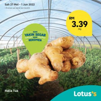 Tesco-Lotuss-Berjimat-Dengan-Kami-Promotion-7-16-350x350 - Johor Kedah Kelantan Kuala Lumpur Melaka Negeri Sembilan Pahang Penang Perak Perlis Promotions & Freebies Putrajaya Sabah Sarawak Selangor Supermarket & Hypermarket Terengganu 