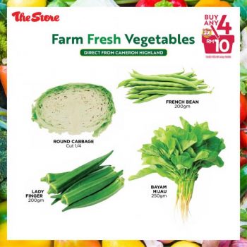 The-Store-Farm-Fresh-Vegetables-Promotion-3-350x350 - Johor Kedah Kelantan Kuala Lumpur Melaka Negeri Sembilan Pahang Penang Perak Perlis Promotions & Freebies Putrajaya Sabah Sarawak Selangor Supermarket & Hypermarket Terengganu 