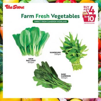 The-Store-Farm-Fresh-Vegetables-Promotion-4-350x350 - Johor Kedah Kelantan Kuala Lumpur Melaka Negeri Sembilan Pahang Penang Perak Perlis Promotions & Freebies Putrajaya Sabah Sarawak Selangor Supermarket & Hypermarket Terengganu 