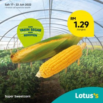 Lotuss-Berjimat-Dengan-Kami-Promotion-23-1-350x350 - Johor Kedah Kelantan Kuala Lumpur Melaka Negeri Sembilan Pahang Penang Perak Perlis Promotions & Freebies Putrajaya Sabah Sarawak Selangor Supermarket & Hypermarket Terengganu 