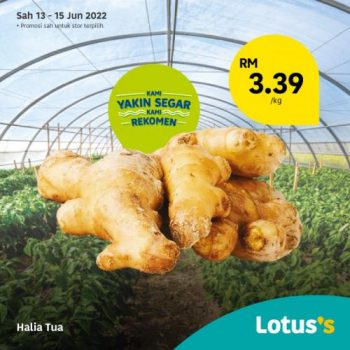 Lotuss-Berjimat-Dengan-Kami-Promotion-25-350x350 - Johor Kedah Kelantan Kuala Lumpur Melaka Negeri Sembilan Pahang Penang Perak Perlis Promotions & Freebies Putrajaya Sabah Sarawak Selangor Supermarket & Hypermarket Terengganu 