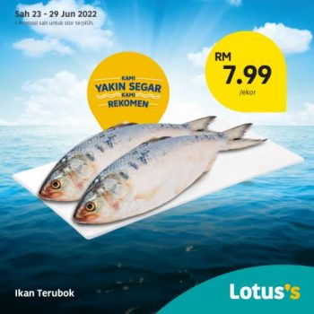 Tesco-Lotuss-Berjimat-Dengan-Kami-Promotion-14-11-350x350 - Johor Kedah Kelantan Kuala Lumpur Melaka Negeri Sembilan Pahang Penang Perak Perlis Promotions & Freebies Putrajaya Sabah Sarawak Selangor Terengganu 