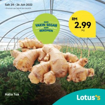 Tesco-Lotuss-Berjimat-Dengan-Kami-Promotion-2-14-350x350 - Johor Kedah Kelantan Kuala Lumpur Melaka Negeri Sembilan Pahang Penang Perak Perlis Promotions & Freebies Putrajaya Sabah Sarawak Selangor Supermarket & Hypermarket Terengganu 