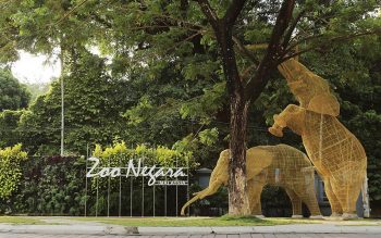Zoo-Negara-Ticket-Promo-with-Fave-350x219 - Promotions & Freebies Selangor Sports,Leisure & Travel Theme Parks 