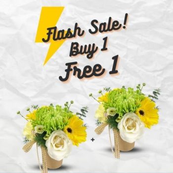 FarEastFlora.com-Flash-Sale-350x350 - Johor Kedah Kelantan Kuala Lumpur Malaysia Sales Melaka Negeri Sembilan Online Store Others Pahang Penang Perak Perlis Putrajaya Sabah Sarawak Selangor Terengganu 