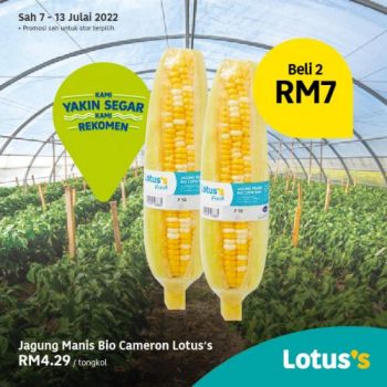 Tesco-Lotuss-Berjimat-Dengan-Kami-Promotion-21-350x350 - Johor Kedah Kelantan Kuala Lumpur Melaka Negeri Sembilan Pahang Penang Perak Perlis Promotions & Freebies Putrajaya Sabah Sarawak Selangor Supermarket & Hypermarket Terengganu 