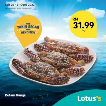 Tesco-Lotuss-Berjimat-Dengan-Kami-Promotion-16-12-350x350 - Johor Kedah Kelantan Kuala Lumpur Melaka Negeri Sembilan Pahang Penang Perak Perlis Promotions & Freebies Putrajaya Sabah Sarawak Selangor Supermarket & Hypermarket Terengganu
