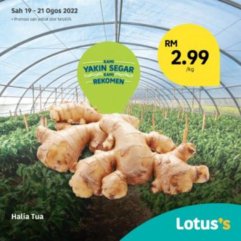 Tesco-Lotuss-Berjimat-Dengan-Kami-Promotion-18-5-350x350 - Johor Kedah Kelantan Kuala Lumpur Melaka Negeri Sembilan Pahang Penang Perak Perlis Promotions & Freebies Putrajaya Sabah Sarawak Selangor Supermarket & Hypermarket Terengganu 