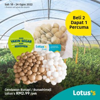 Tesco-Lotuss-Berjimat-Dengan-Kami-Promotion-19-4-350x350 - Johor Kedah Kelantan Kuala Lumpur Melaka Negeri Sembilan Pahang Penang Perak Perlis Promotions & Freebies Putrajaya Sabah Sarawak Selangor Supermarket & Hypermarket Terengganu 