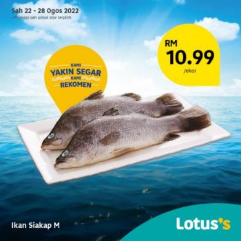 Tesco-Lotuss-Berjimat-Dengan-Kami-Promotion-19-7-350x350 - Johor Kedah Kelantan Kuala Lumpur Melaka Negeri Sembilan Pahang Penang Perak Perlis Promotions & Freebies Putrajaya Sabah Sarawak Selangor Supermarket & Hypermarket Terengganu 