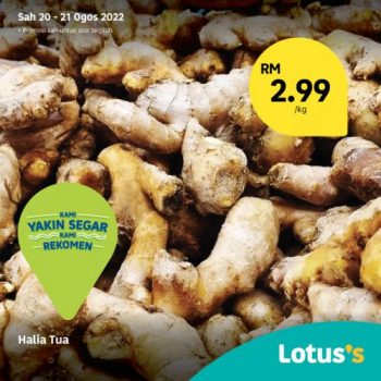 Tesco-Lotuss-Fresh-Items-Promotion-1-350x350 - Johor Kedah Kelantan Kuala Lumpur Melaka Negeri Sembilan Pahang Penang Perak Perlis Promotions & Freebies Putrajaya Sabah Sarawak Selangor Supermarket & Hypermarket Terengganu 