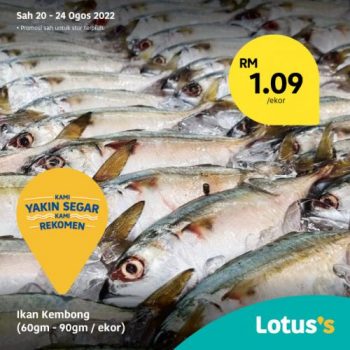 Tesco-Lotuss-Fresh-Items-Promotion-5-350x350 - Johor Kedah Kelantan Kuala Lumpur Melaka Negeri Sembilan Pahang Penang Perak Perlis Promotions & Freebies Putrajaya Sabah Sarawak Selangor Supermarket & Hypermarket Terengganu 