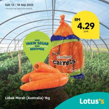 Tesco-Lotuss-Berjimat-Dengan-Kami-Promotion-16-6-350x350 - Johor Kedah Kelantan Kuala Lumpur Melaka Negeri Sembilan Pahang Penang Perak Perlis Promotions & Freebies Putrajaya Sabah Sarawak Selangor Supermarket & Hypermarket Terengganu 