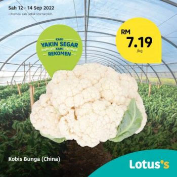 Tesco-Lotuss-Berjimat-Dengan-Kami-Promotion-17-6-350x350 - Johor Kedah Kelantan Kuala Lumpur Melaka Negeri Sembilan Pahang Penang Perak Perlis Promotions & Freebies Putrajaya Sabah Sarawak Selangor Supermarket & Hypermarket Terengganu 