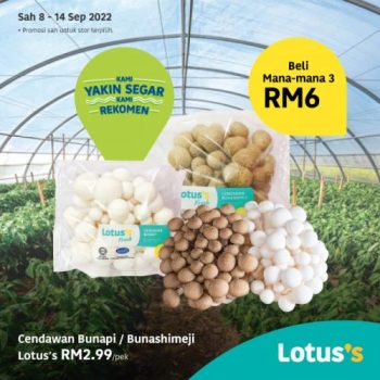 Tesco-Lotuss-Berjimat-Dengan-Kami-Promotion-19-4-350x350 - Johor Kedah Kelantan Kuala Lumpur Melaka Negeri Sembilan Pahang Penang Perak Perlis Promotions & Freebies Putrajaya Sabah Sarawak Selangor Supermarket & Hypermarket Terengganu 