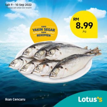 Tesco-Lotuss-Berjimat-Dengan-Kami-Promotion-19-5-350x350 - Johor Kedah Kelantan Kuala Lumpur Melaka Negeri Sembilan Pahang Penang Perak Perlis Promotions & Freebies Putrajaya Sabah Sarawak Selangor Supermarket & Hypermarket Terengganu