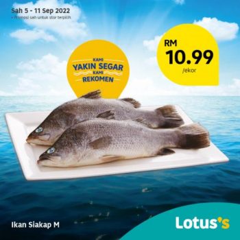 Tesco-Lotuss-Berjimat-Dengan-Kami-Promotion-21-2-350x350 - Johor Kedah Kelantan Kuala Lumpur Melaka Negeri Sembilan Pahang Penang Perak Perlis Promotions & Freebies Putrajaya Sabah Sarawak Selangor Supermarket & Hypermarket Terengganu 