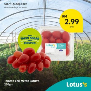 Tesco-Lotuss-Berjimat-Dengan-Kami-Promotion-23-3-350x350 - Johor Kedah Kelantan Kuala Lumpur Melaka Negeri Sembilan Pahang Penang Perak Perlis Promotions & Freebies Putrajaya Sabah Sarawak Selangor Supermarket & Hypermarket Terengganu