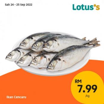 Tesco-Lotuss-Berjimat-Dengan-Kami-Promotion-29-3-350x350 - Johor Kedah Kelantan Kuala Lumpur Melaka Negeri Sembilan Pahang Penang Perak Perlis Promotions & Freebies Putrajaya Sabah Sarawak Selangor Supermarket & Hypermarket Terengganu 