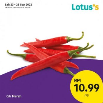 Tesco-Lotuss-Berjimat-Dengan-Kami-Promotion-34-1-350x350 - Johor Kedah Kelantan Kuala Lumpur Melaka Negeri Sembilan Pahang Penang Perak Perlis Promotions & Freebies Putrajaya Sabah Sarawak Selangor Supermarket & Hypermarket Terengganu 