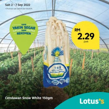 Tesco-Lotuss-Tawaran-Hebat-Promotion-9-350x350 - Johor Kedah Kelantan Kuala Lumpur Melaka Negeri Sembilan Pahang Penang Perak Perlis Promotions & Freebies Putrajaya Sabah Sarawak Selangor Supermarket & Hypermarket Terengganu 