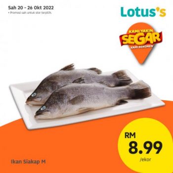 Lotuss-Berjimat-Dengan-Kami-Promotion-17-4-350x350 - Johor Kedah Kelantan Kuala Lumpur Melaka Negeri Sembilan Pahang Penang Perak Perlis Promotions & Freebies Putrajaya Sabah Sarawak Selangor Supermarket & Hypermarket Terengganu 
