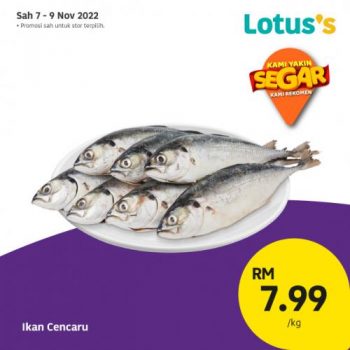 Lotuss-Berjimat-Dengan-Kami-Promotion-21-350x350 - Johor Kedah Kelantan Kuala Lumpur Melaka Negeri Sembilan Pahang Penang Perak Perlis Promotions & Freebies Putrajaya Sabah Sarawak Selangor Supermarket & Hypermarket Terengganu 