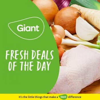 Giant-Fresh-Deals-Of-The-Day-Promotion-350x350 - Johor Kedah Kelantan Kuala Lumpur Melaka Negeri Sembilan Pahang Penang Perak Perlis Promotions & Freebies Putrajaya Sabah Sarawak Selangor Supermarket & Hypermarket Terengganu 