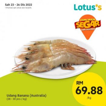 Lotuss-Berjimat-Dengan-Kami-Promotion-12-14-350x350 - Johor Kedah Kelantan Kuala Lumpur Melaka Negeri Sembilan Pahang Penang Perak Perlis Promotions & Freebies Putrajaya Sabah Sarawak Selangor Supermarket & Hypermarket Terengganu 