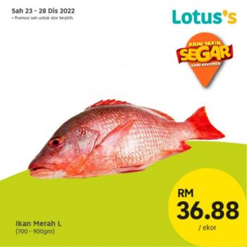 Lotuss-Berjimat-Dengan-Kami-Promotion-17-12-350x350 - Johor Kedah Kelantan Kuala Lumpur Melaka Negeri Sembilan Pahang Penang Perak Perlis Promotions & Freebies Putrajaya Sabah Sarawak Selangor Supermarket & Hypermarket Terengganu 