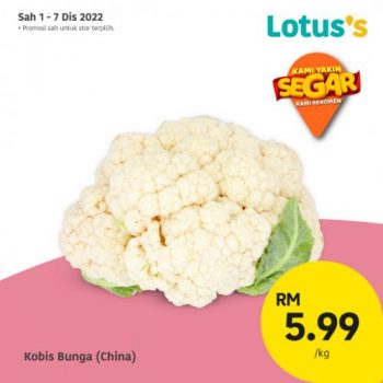Lotuss-Berjimat-Dengan-Kami-Promotion-19-350x350 - Johor Kedah Kelantan Kuala Lumpur Melaka Negeri Sembilan Online Store Pahang Penang Perak Perlis Promotions & Freebies Putrajaya Sabah Sarawak Selangor Supermarket & Hypermarket Terengganu 