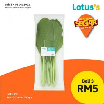 Lotuss-Berjimat-Dengan-Kami-Promotion-19-6-350x350 - Johor Kedah Kelantan Kuala Lumpur Melaka Negeri Sembilan Pahang Penang Perak Perlis Promotions & Freebies Putrajaya Sabah Sarawak Selangor Supermarket & Hypermarket Terengganu 