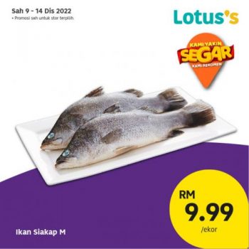 Lotuss-Berjimat-Dengan-Kami-Promotion-22-2-350x350 - Johor Kedah Kelantan Kuala Lumpur Melaka Negeri Sembilan Pahang Penang Perak Perlis Promotions & Freebies Putrajaya Sabah Sarawak Selangor Supermarket & Hypermarket Terengganu 