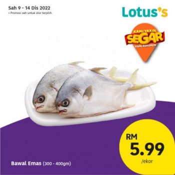 Lotuss-Berjimat-Dengan-Kami-Promotion-23-2-350x350 - Johor Kedah Kelantan Kuala Lumpur Melaka Negeri Sembilan Pahang Penang Perak Perlis Promotions & Freebies Putrajaya Sabah Sarawak Selangor Supermarket & Hypermarket Terengganu 