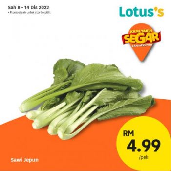 Lotuss-Berjimat-Dengan-Kami-Promotion-23-4-350x350 - Johor Kedah Kelantan Kuala Lumpur Melaka Negeri Sembilan Pahang Penang Perak Perlis Promotions & Freebies Putrajaya Sabah Sarawak Selangor Supermarket & Hypermarket Terengganu