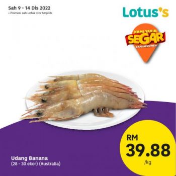 Lotuss-Berjimat-Dengan-Kami-Promotion-25-2-350x350 - Johor Kedah Kelantan Kuala Lumpur Melaka Negeri Sembilan Pahang Penang Perak Perlis Promotions & Freebies Putrajaya Sabah Sarawak Selangor Supermarket & Hypermarket Terengganu 