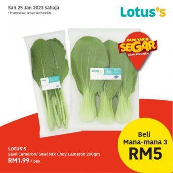 Lotuss-Berjimat-Dengan-Kami-CNY-Promotion-4-7-350x350 - Johor Kedah Kelantan Kuala Lumpur Melaka Negeri Sembilan Pahang Penang Perak Perlis Promotions & Freebies Putrajaya Sabah Sarawak Selangor Terengganu 