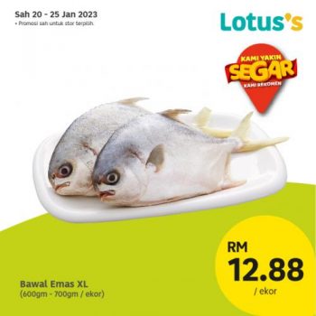 Lotuss-Berjimat-Dengan-Kami-Promotion-21-2-350x350 - Johor Kedah Kelantan Kuala Lumpur Melaka Negeri Sembilan Pahang Penang Perak Perlis Promotions & Freebies Putrajaya Sabah Sarawak Selangor Supermarket & Hypermarket Terengganu 