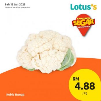 Lotuss-Berjimat-Dengan-Kami-Promotion-3-4-350x350 - Johor Kedah Kelantan Kuala Lumpur Melaka Negeri Sembilan Pahang Penang Perak Perlis Promotions & Freebies Putrajaya Sabah Sarawak Selangor Supermarket & Hypermarket Terengganu 