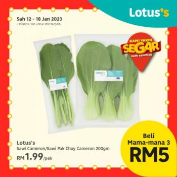 Lotuss-CNY-Fresh-Items-Promotion-4-350x350 - Johor Kedah Kelantan Kuala Lumpur Melaka Negeri Sembilan Pahang Penang Perak Perlis Promotions & Freebies Putrajaya Sabah Sarawak Selangor Supermarket & Hypermarket Terengganu 