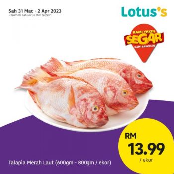 Lotuss-Berjimat-Dengan-Kami-Promotion-11-2-350x350 - Johor Kedah Kelantan Kuala Lumpur Melaka Negeri Sembilan Pahang Penang Perak Perlis Promotions & Freebies Putrajaya Sabah Sarawak Selangor Supermarket & Hypermarket Terengganu 