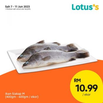 Lotuss-Berjimat-Dengan-Kami-Promotion-2-3-350x350 - Johor Kedah Kelantan Kuala Lumpur Melaka Negeri Sembilan Pahang Penang Perak Perlis Promotions & Freebies Putrajaya Sabah Sarawak Selangor Supermarket & Hypermarket Terengganu 