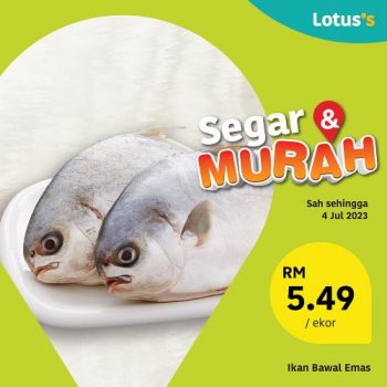 Lotuss-Fresh-Items-Promotion-1-2-350x350 - Johor Kedah Kelantan Kuala Lumpur Melaka Negeri Sembilan Pahang Penang Perak Perlis Promotions & Freebies Putrajaya Sabah Sarawak Selangor Supermarket & Hypermarket Terengganu 