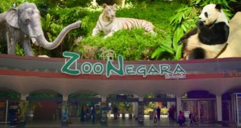 The-Pearl-Fun-with-Nature-Promo-Package-2-350x186 - Hotels Kuala Lumpur Promotions & Freebies Selangor Sports,Leisure & Travel 