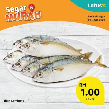 Lotuss-Fresh-Items-Promotion-1-1-350x350 - Johor Kedah Kelantan Kuala Lumpur Melaka Negeri Sembilan Pahang Penang Perak Perlis Promotions & Freebies Putrajaya Sabah Sarawak Selangor Supermarket & Hypermarket Terengganu 