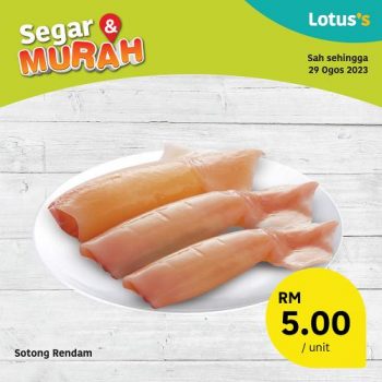 Lotuss-Fresh-Items-Promotion-1-2-350x350 - Johor Kedah Kelantan Kuala Lumpur Melaka Negeri Sembilan Pahang Penang Perak Perlis Promotions & Freebies Putrajaya Sabah Sarawak Selangor Supermarket & Hypermarket Terengganu 
