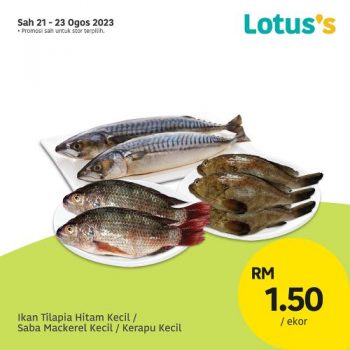 Lotuss-Lebih-Murah-Promotion-2-9-350x350 - Johor Kedah Kelantan Kuala Lumpur Melaka Negeri Sembilan Pahang Penang Perak Perlis Promotions & Freebies Putrajaya Sabah Sarawak Selangor Supermarket & Hypermarket Terengganu 